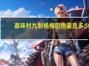 嘉味村 九制杨梅的热量是多少