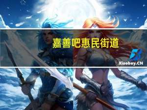 嘉善吧惠民街道（嘉善吧）