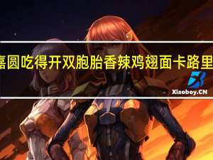 嘉圆 吃得开双胞胎香辣鸡翅面卡路里是多少