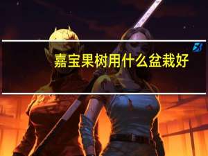 嘉宝果树用什么盆栽好