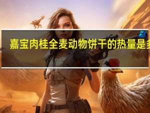 嘉宝 肉桂全麦动物饼干的热量是多少