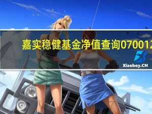 嘉实稳健基金净值查询070012（嘉实稳健基金净值查询）