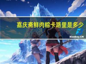 嘉庆斋鲜肉粽卡路里是多少