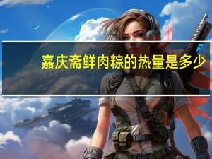 嘉庆斋鲜肉粽的热量是多少