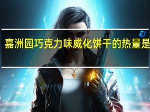 嘉洲园 巧克力味威化饼干的热量是多少