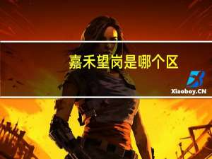 嘉禾望岗是哪个区