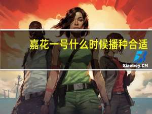 嘉花一号什么时候播种合适