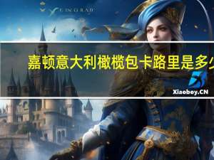 嘉顿 意大利橄榄包卡路里是多少