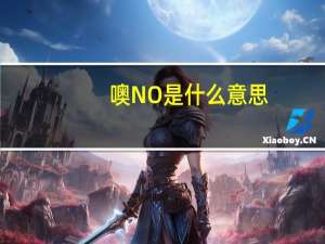 噢NO是什么意思
