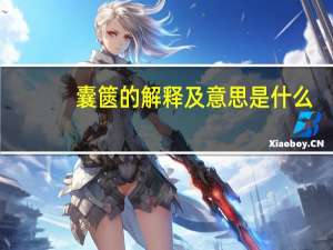 囊篋的解释及意思是什么
