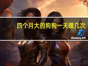 四个月大的狗狗一天喂几次