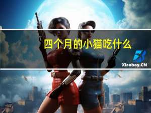 四个月的小猫吃什么
