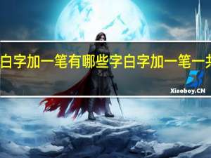 四个白字加一笔有哪些字 白字加一笔一共十二个字