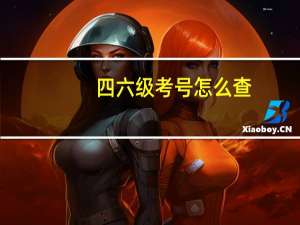 四六级考号怎么查