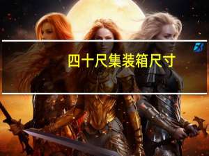 四十尺集装箱尺寸