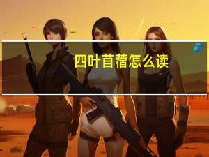四叶苜蓿怎么读（苜蓿怎么读）