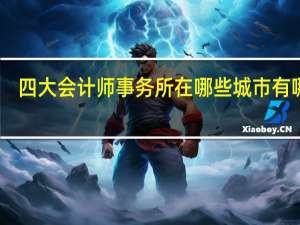四大会计师事务所在哪些城市有哪些