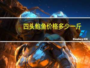 四头鲍鱼价格多少一斤（四头鲍鱼价格）