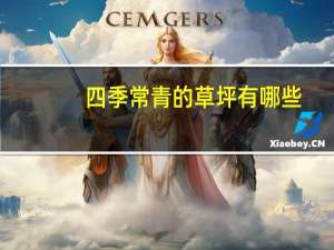四季常青的草坪有哪些（四季常青）