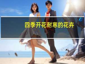 四季开花耐寒的花卉（四季开花耐寒花卉）