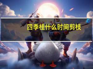 四季桂什么时间剪枝