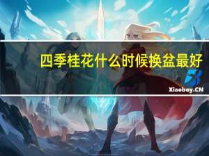 四季桂花什么时候换盆最好