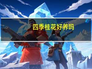 四季桂花好养吗