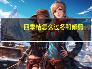 四季桔怎么过冬和修剪