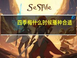 四季梅什么时候播种合适