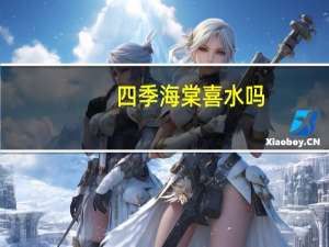 四季海棠喜水吗