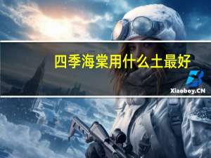 四季海棠用什么土最好