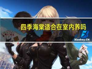 四季海棠适合在室内养吗