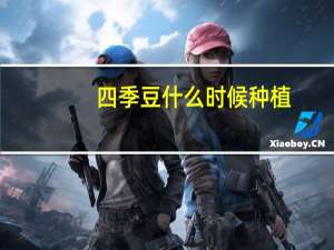 四季豆什么时候种植