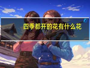 四季都开的花有什么花