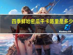 四季鲜 哈密瓜干卡路里是多少