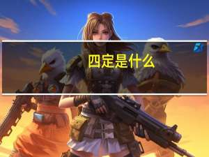 四定是什么（四定）