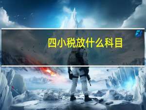 四小税放什么科目