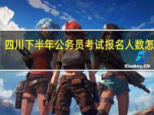 四川下半年公务员考试报名人数怎么查