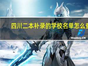 四川二本补录的学校名单怎么查