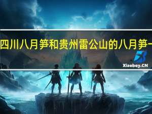 四川八月笋和贵州雷公山的八月笋一样吗