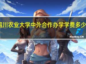 四川农业大学中外合作办学学费多少钱一年