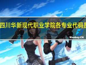 四川华新现代职业学院各专业代码是多少
