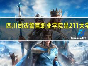 四川司法警官职业学院是211大学吗
