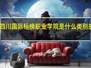 四川国际标榜职业学院是什么类别的学校