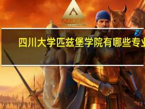 四川大学匹兹堡学院有哪些专业