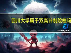四川大学属于双高计划院校吗