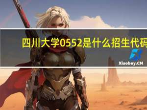 四川大学0552是什么招生代码