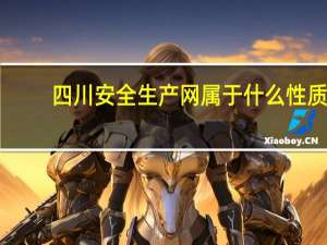 四川安全生产网属于什么性质