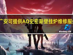 四川广安可提供A O 史密斯壁挂炉维修服务地址在哪