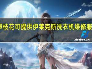 四川攀枝花可提供伊莱克斯洗衣机维修服务地址在哪